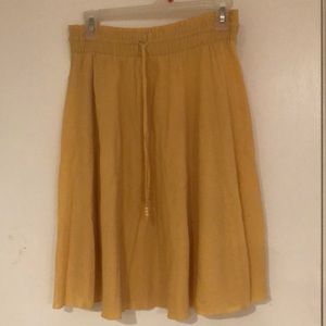 Anne Taylor skirt